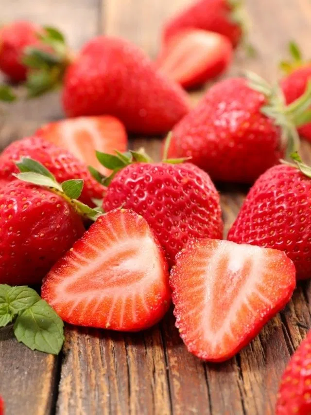 Port-Cities-in-India-2-2