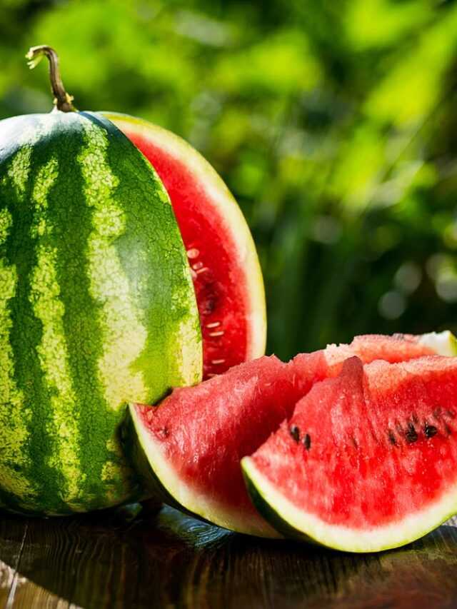 1606307652_5fbe4f4495738_watermelon