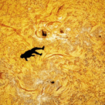 AI নাকি বাস্তব ??? সূর্যের সামনে স্কাইডাইভিং – অ্যান্ড্রু ম্যাকার্থির তোলা ভাইরাল আলোকচিত্র ‘দ্য ফল অফ ইকারাস’