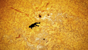 AI নাকি বাস্তব ??? সূর্যের সামনে স্কাইডাইভিং – অ্যান্ড্রু ম্যাকার্থির তোলা ভাইরাল আলোকচিত্র ‘দ্য ফল অফ ইকারাস’