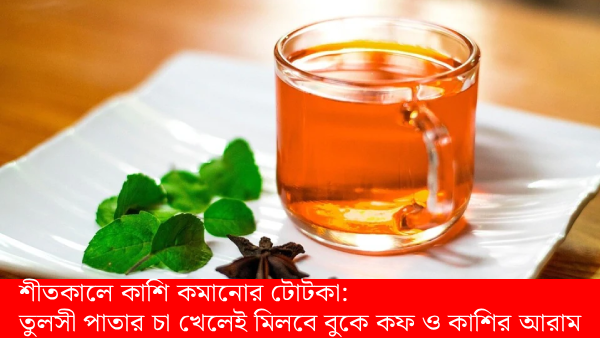 শীতকালে কাশি কমানোর টোটকা: তুলসী পাতার চা ও আয়ুর্বেদিক উপায়