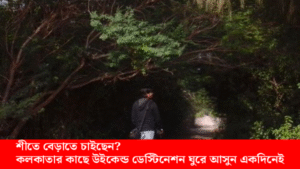 শীতে বেড়াতে যাওয়ার জন্য কলকাতার কাছে উইকেন্ড ডেস্টিনেশন — নদীর ধারে সবুজ চর ও ভ্রমণপ্রেমীরা ঘুরে দেখছেন