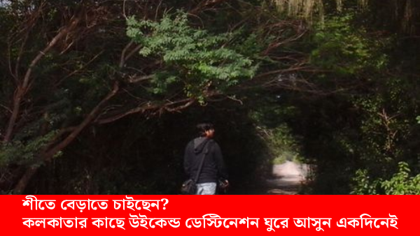 শীতে বেড়াতে যাওয়ার জন্য কলকাতার কাছে উইকেন্ড ডেস্টিনেশন — নদীর ধারে সবুজ চর ও ভ্রমণপ্রেমীরা ঘুরে দেখছেন