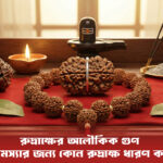 Rudraksha benefits in Bengali